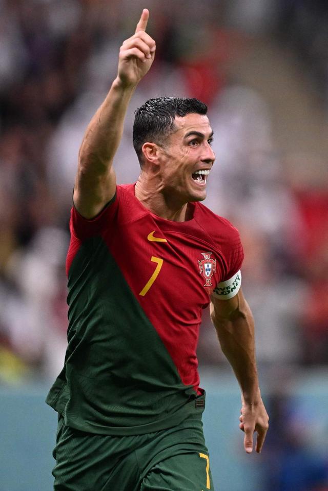 本文从可度 本文从可度